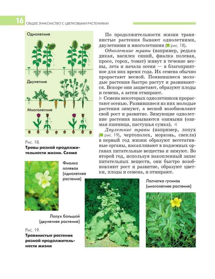 Учебник никишов 10-11 класс скачать