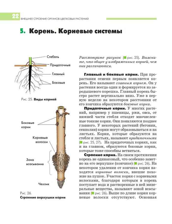 Учебник биология 6 класс викторов никишов скачать