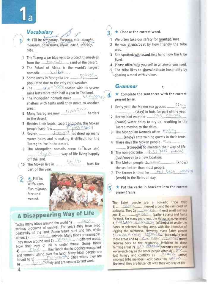 Fill in temporary livestock. Fill in temporary livestock. Транспорт для перевозки животных. Лошадь электрик. Fill in temporary livestock.