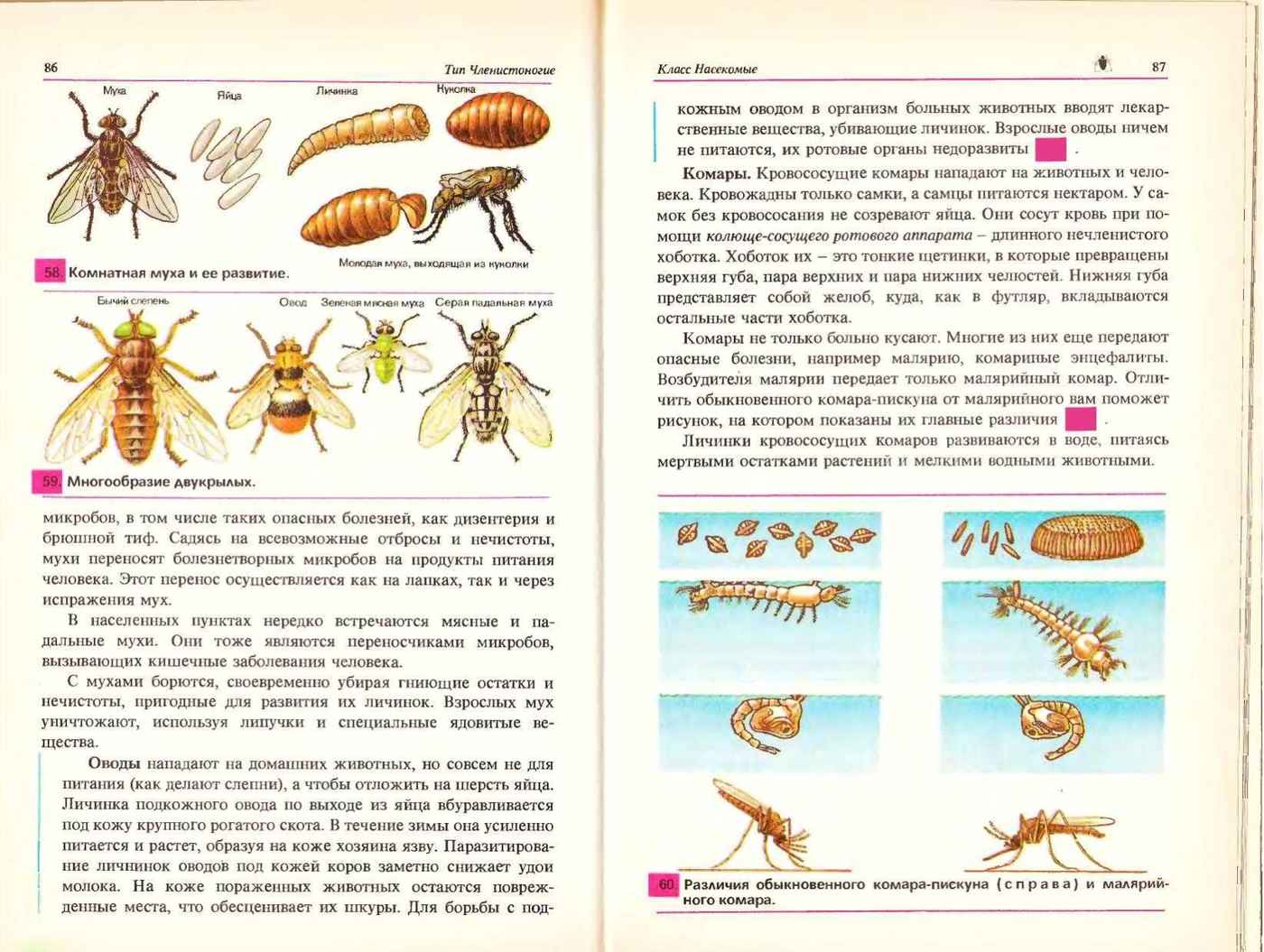 Биология Учебник 7-8 класс Козлова читать онлайн