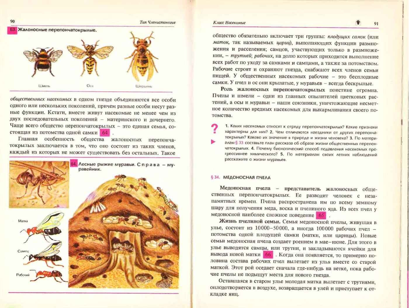 Биология Учебник 7-8 класс Козлова читать онлайн