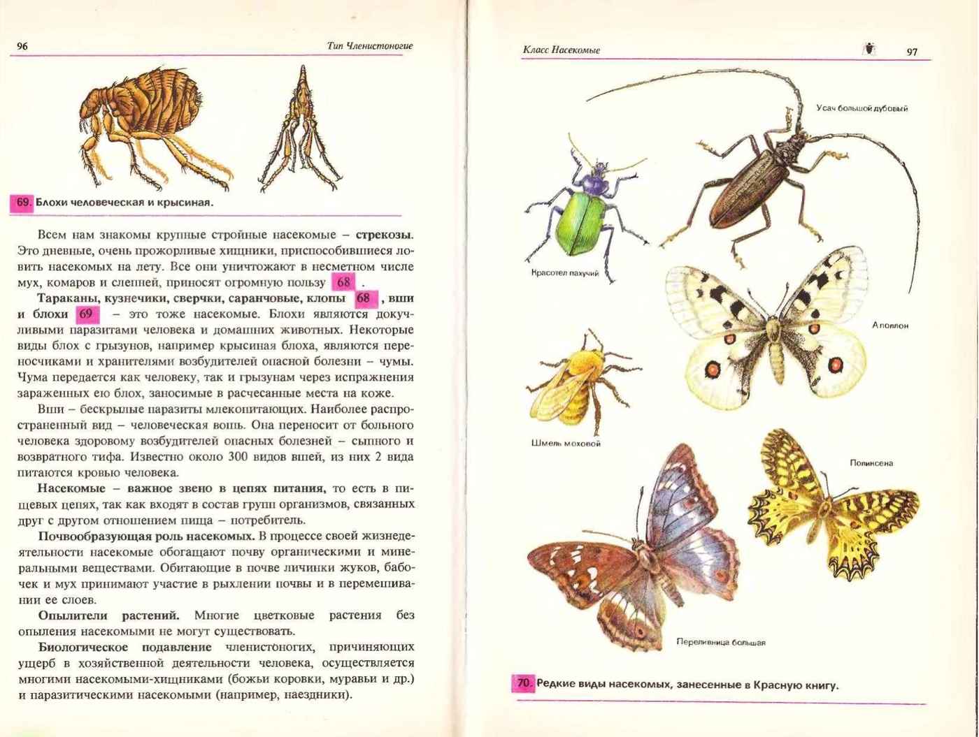 Биология Учебник 7-8 класс Козлова читать онлайн