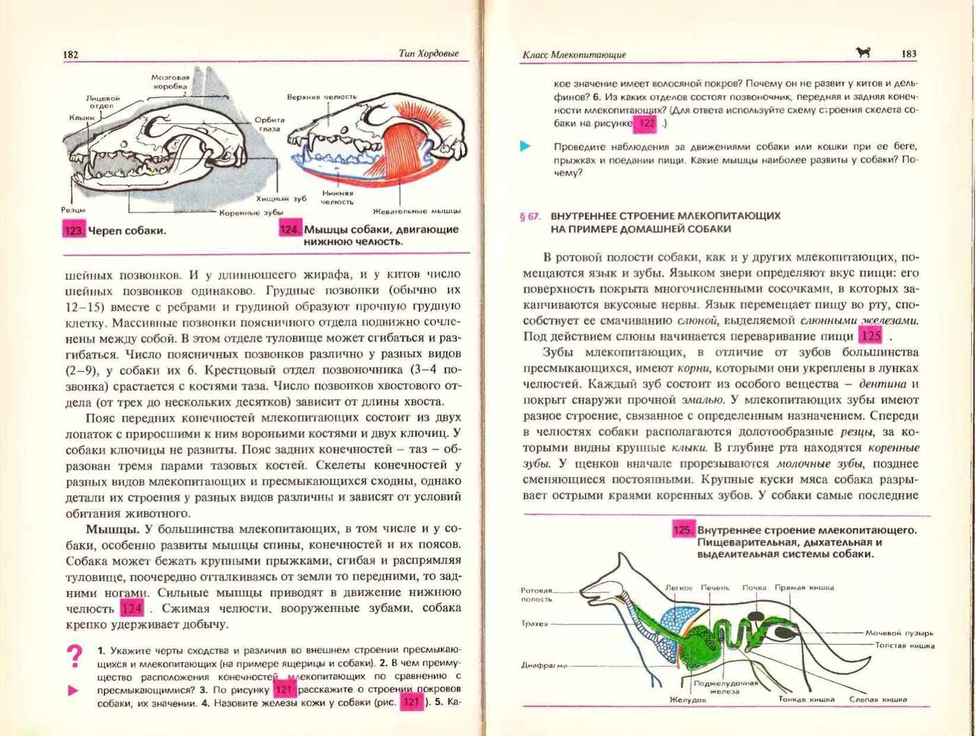 Биология Учебник 7-8 класс Козлова читать онлайн