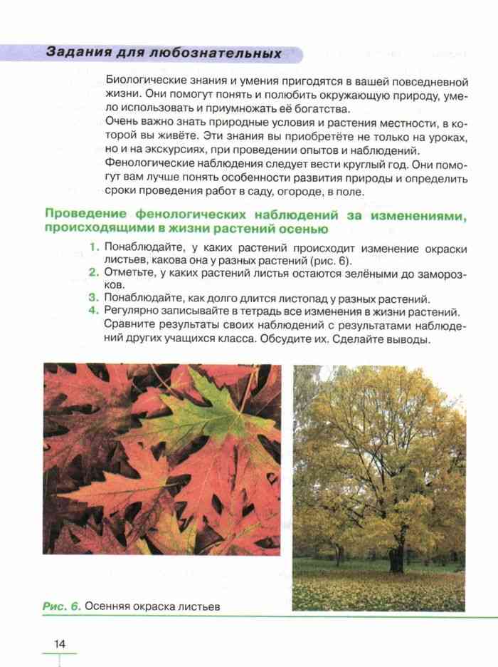 Наблюдение в жизни природы. Изменение окраски растений. Изменение окраски листа. Осенние изменения у растений. Фенологические наблюдения растений осенью.