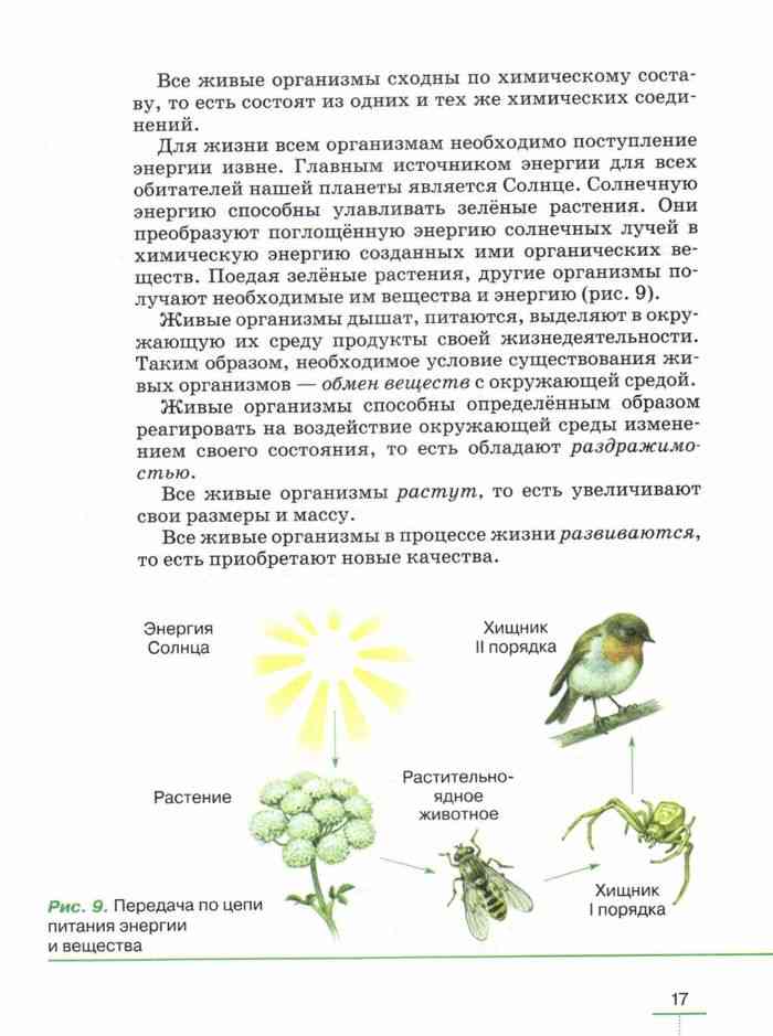 Биология 5 класс учебник пасечник параграф. Биология 5 класс учебник Пасечник. Учебник по биологии 5 класс Пасечник. Биология 5 класс учебник страницы. Биология 5 класс Пасечник читать.