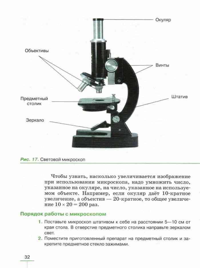 Проект микроскоп 5 класс