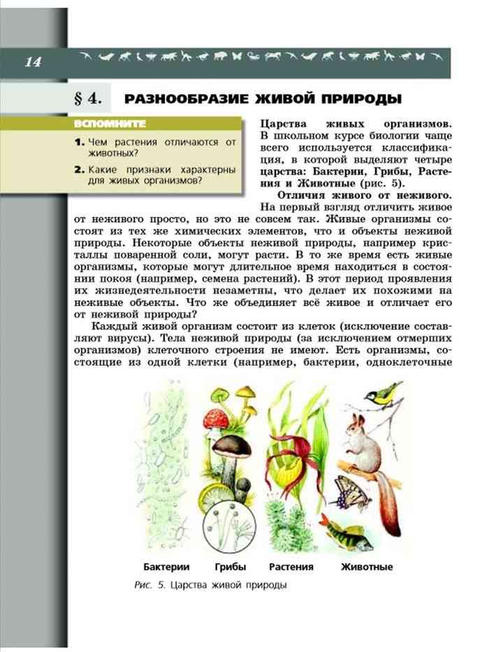 Биология 5 класс пасечник читать. Биология 5-6 класс учебник. Биология 5 класс учебник Пасечник. Биология 5-6 класс учебник Пасечник. Биология 6 класс учебник Пасечник читать.