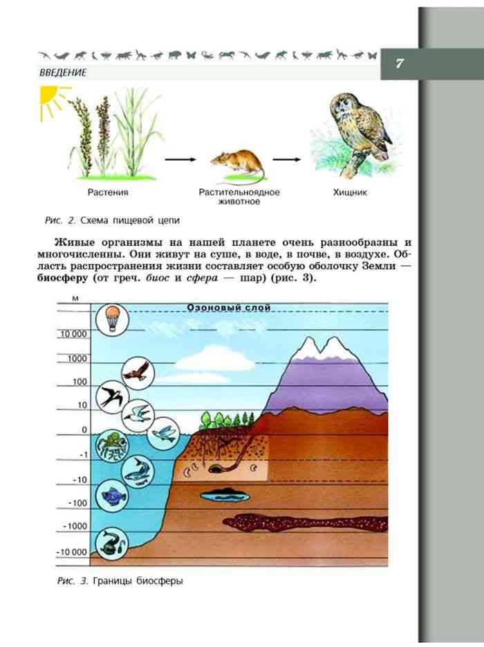 Введение в биологию 5 класс пасечник учебник. Биология 5 класс учебник Пасечник Суматохин читать. Загрязнение от травы.
