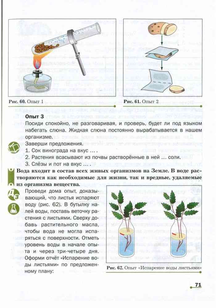 Опыт биология 5. Учебник по биологии 5 класс Сухова. Биология 5-6 класс учебник Сухова. Биология 5 класс учебник эксперимент с луком. Опыты по биологии 5 класс в домашних условиях.