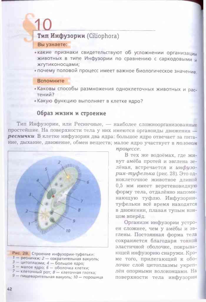 Биология 7 класс константинов рисунки из учебника