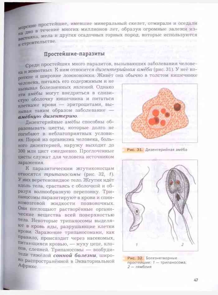 Биология 7 класс константинов рисунки из учебника