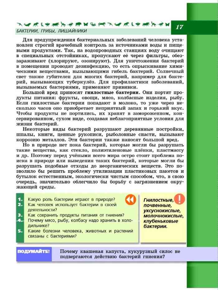 Учебник биологии 7 пасечник читать. Текст по биологии. Учебник биологии текст. Как сохранить продукты питания от гниения кратко. Как сохранить продукты питания от гниения 5 класс биология.