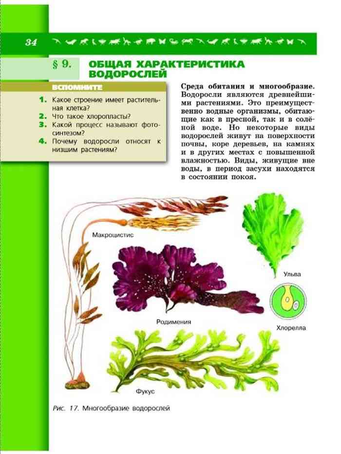 Пасечник Суматохин Калинова биология 7. Биология 7 класс учебник Пасечник. Учебник по биологии 7 класс Пасечник. Фукус среда обитания.