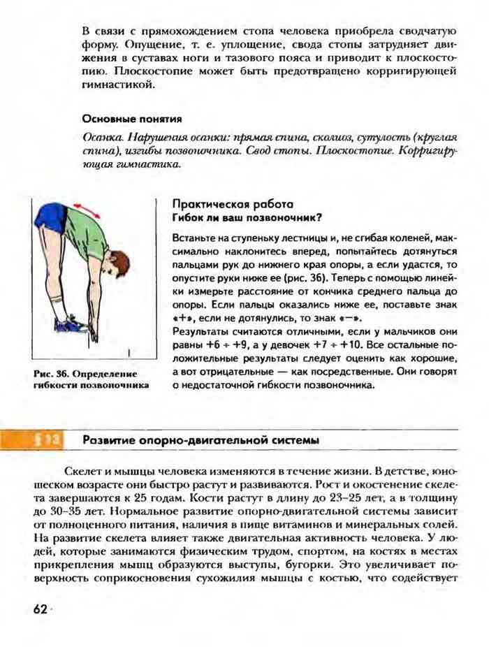 Мышцы человеческого тела лабораторная работа 8 класс. Практическая работа гибкость позвоночника. Практическая работа гибок ли ваш позвоночник. Лабораторная работа по биологии выявление нарушений осанки. Оценка гибкости позвоночника практическая работа.