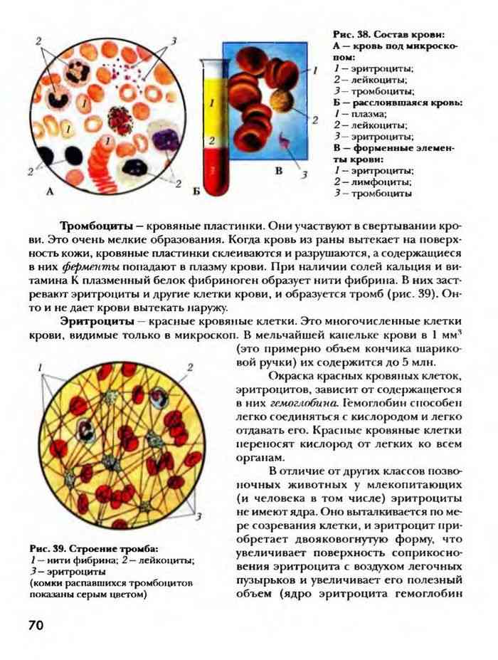 Биология 8 маш. Состав крови. Состав плазмы крови. Эритроциты есть ли ядро. Как изменяется состав крови под действием природных факторов.