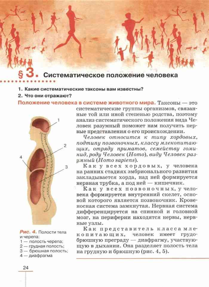 Презентация роль эндокринной регуляции биология 8 класс колесов