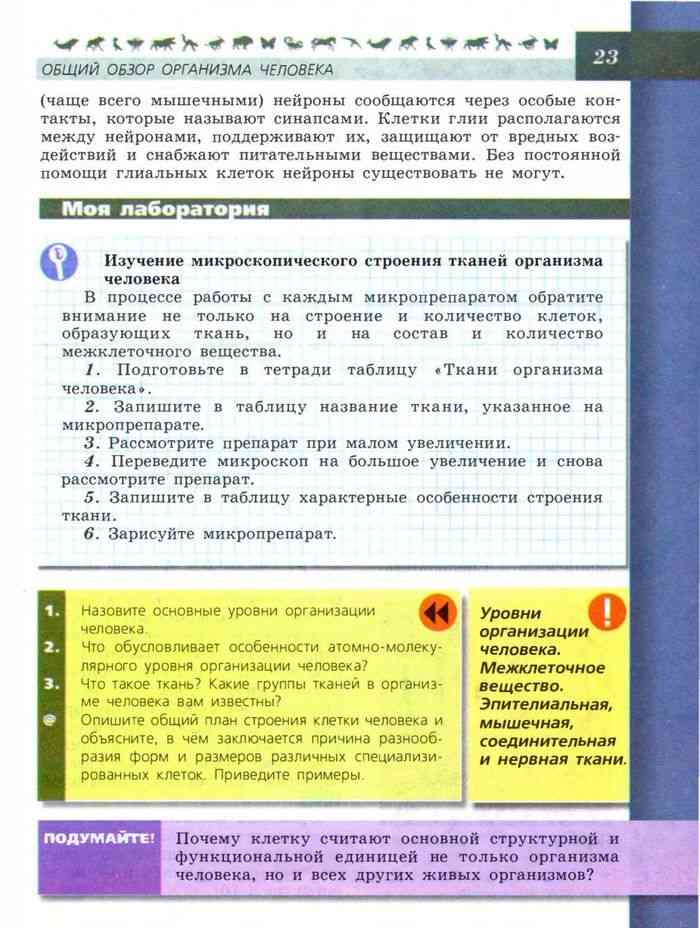 Строение скелета головы биология 8 класс пасечник. 8 класс. Биология. Биология 8 класс учебник пасечник человек. Биология 8 класс учебник пасечник человек.