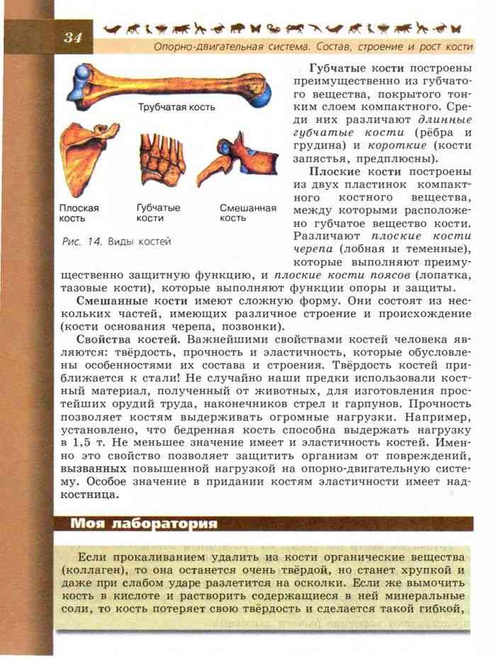 Книжка биология. Биология 8 класс учебник 4 параграф читать. Биология 8 класс учебник 4 параграф читать. Головной мозг учебник биологии 8 класс. Биология 9 класс пасечник учебник строение клетки.