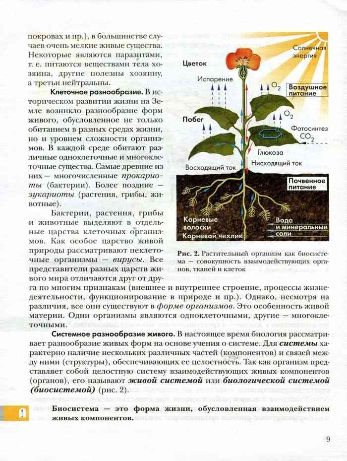 Функционирование популяции в природе презентация 9 класс пономарева и н