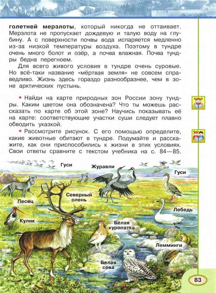 Окружающий мир 4 класс учебник 1 часть стр 127 план изучения природного сообщества